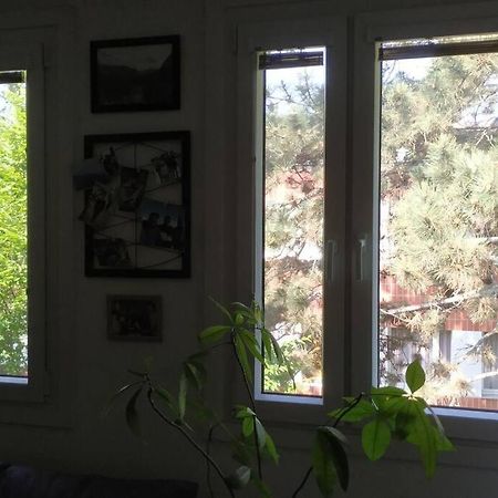 15 Min Zum Zentrum Apartment Wien Ngoại thất bức ảnh