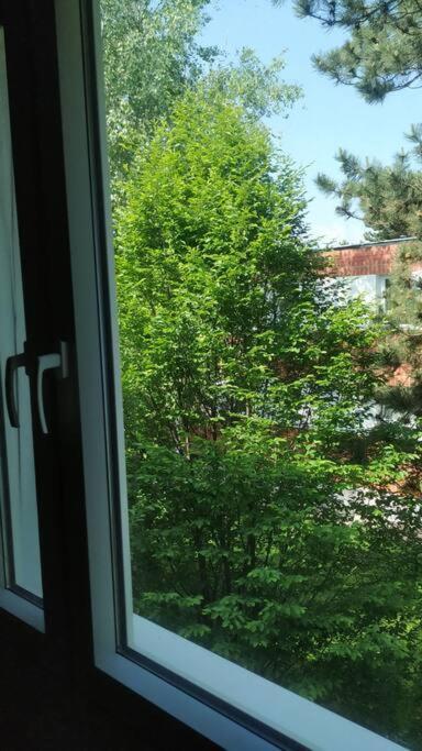 15 Min Zum Zentrum Apartment Wien Ngoại thất bức ảnh