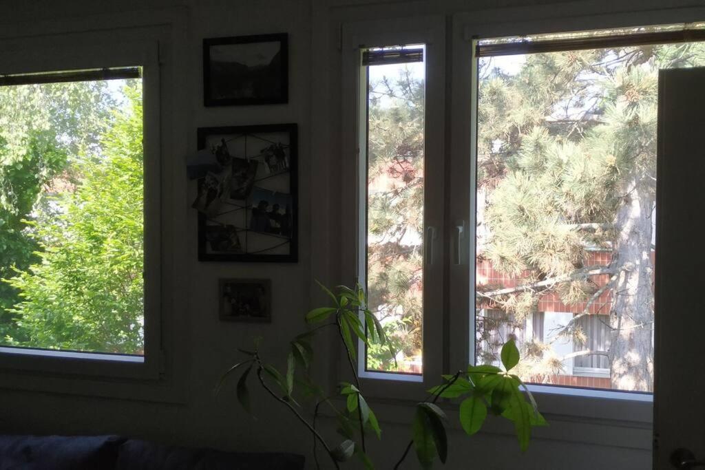15 Min Zum Zentrum Apartment Wien Ngoại thất bức ảnh